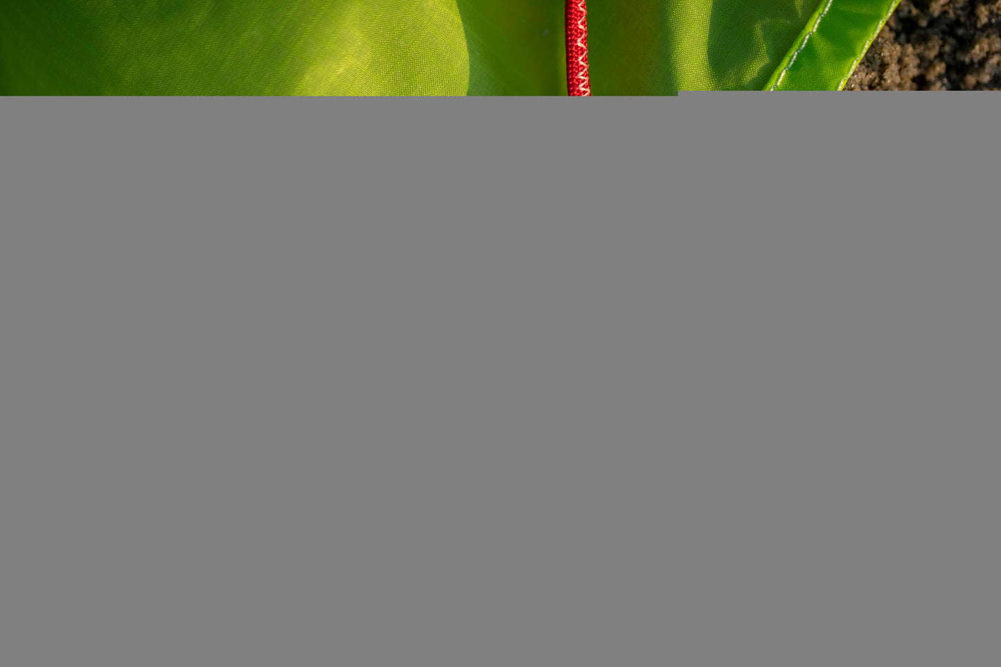 PLKB Uniq TR Trainerkite – Bild 3